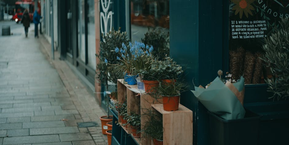 A row of potted flowering plants displayed outside a shop window on Brunswick Park Road N11, featuring blue hyacinths and various green foliage in small terracotta, blue, and clay pots arranged on woo